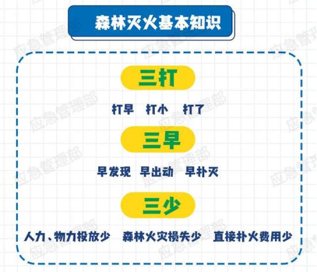 應急科普重在預防這些森林防火知識你掌握了嗎