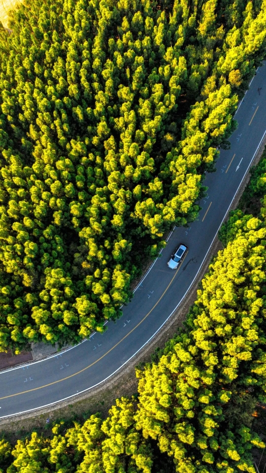 平潭最美公路图片