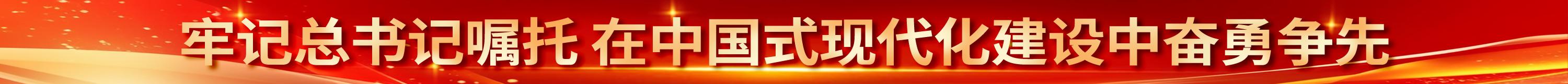 牢记总书记嘱托 在中国式现代化建设中奋勇争先