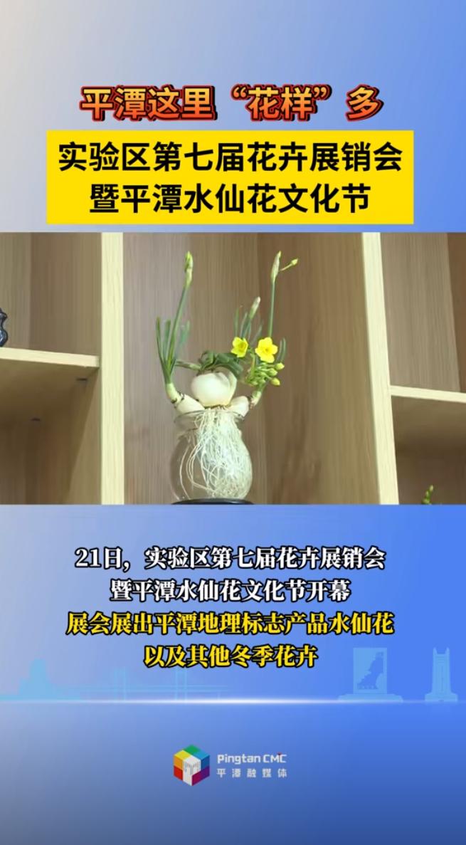 实验区第七届花卉展销会暨平潭水仙花文化节今日开幕